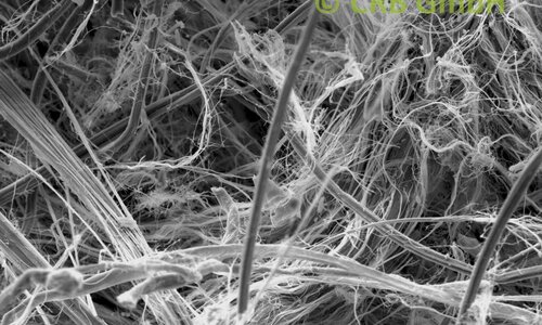 SEM-afbeelding chrysotiel asbest in platte afdichting | © CRB Analyse Service GmbH