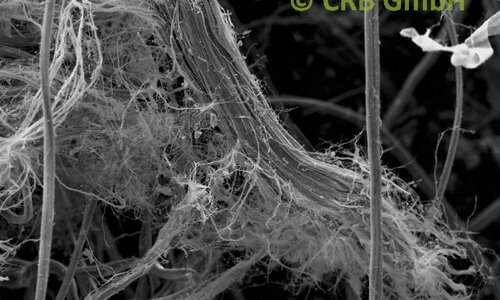 SEM immagine crisotilo amianto in feltro | © CRB Analysis Service GmbH